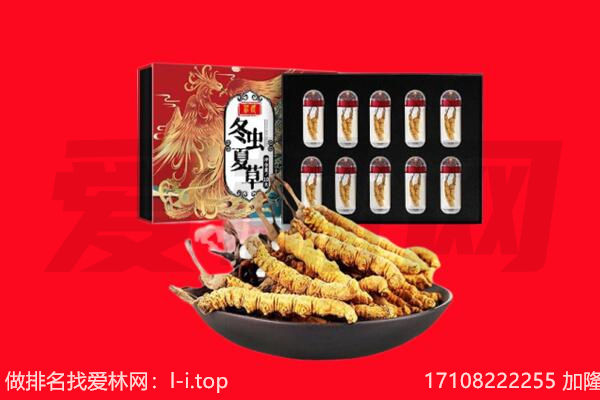 新乡市回收虫草.jpg